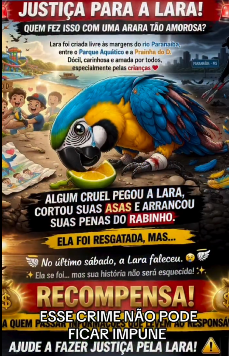 Imagem Captura de tela 2026-03-25 135451